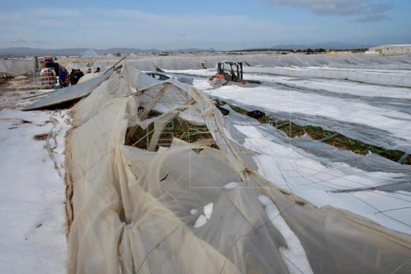 La Junta eleva a más de 1.000 las hectáreas afectadas por el granizo en Níjar